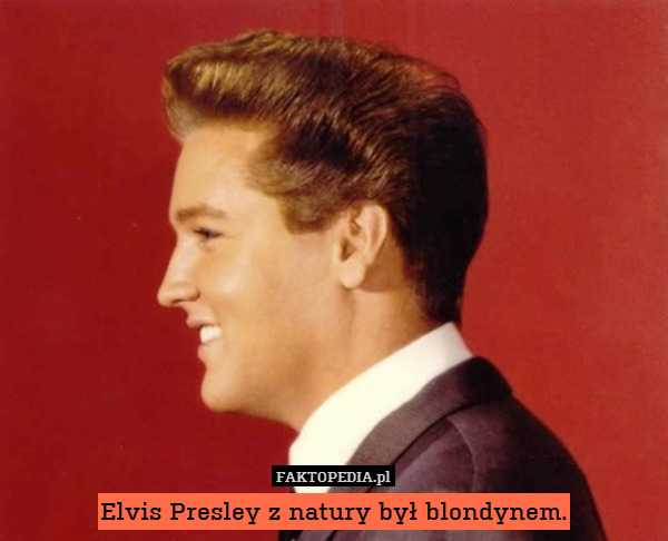 Elvis Presley z natury był blondynem. 