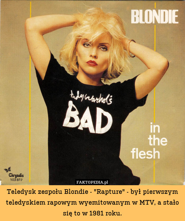 Teledysk zespołu Blondie - "Rapture" - był pierwszym teledyskiem rapowym wyemitowanym w MTV, a stało się to w 1981 roku. 