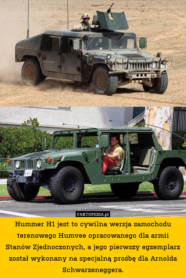Hummer H1 jest to cywilna wersja samochodu terenowego Humvee opracowanego dla armii Stanów Zjednoczonych, a jego pierwszy egzemplarz został wykonany na specjalną prośbę dla Arnolda Schwarzeneggera. 