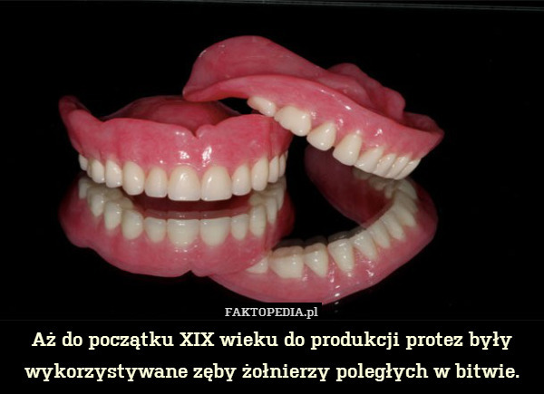 Aż do początku XIX wieku do produkcji protez były wykorzystywane zęby żołnierzy poległych w bitwie. 