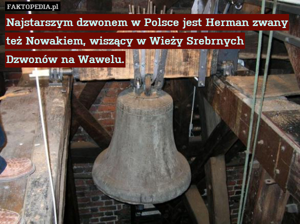 Najstarszym dzwonem w Polsce jest Herman zwany też Nowakiem, wiszący w Wieży Srebrnych Dzwonów na Wawelu. 