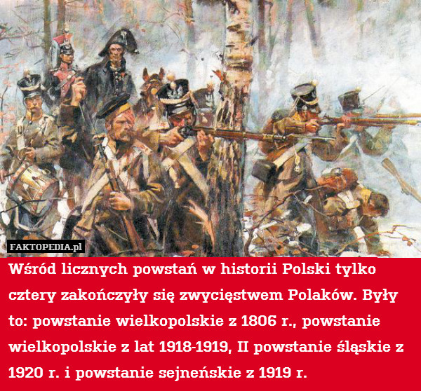 Wśród licznych powstań w historii Polski tylko cztery zakończyły się zwycięstwem Polaków. Były to: powstanie wielkopolskie z 1806 r., powstanie wielkopolskie z lat 1918-1919, II powstanie śląskie z 1920 r. i powstanie sejneńskie z 1919 r. 