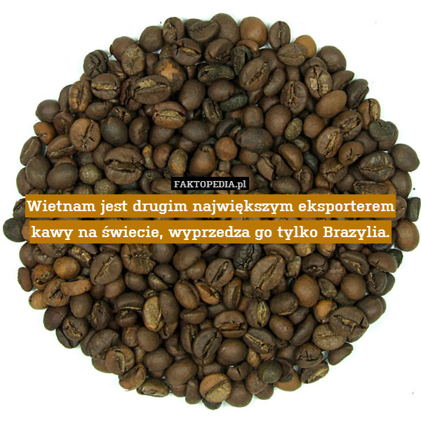 Wietnam jest drugim największym eksporterem kawy na świecie, wyprzedza go tylko Brazylia. 
