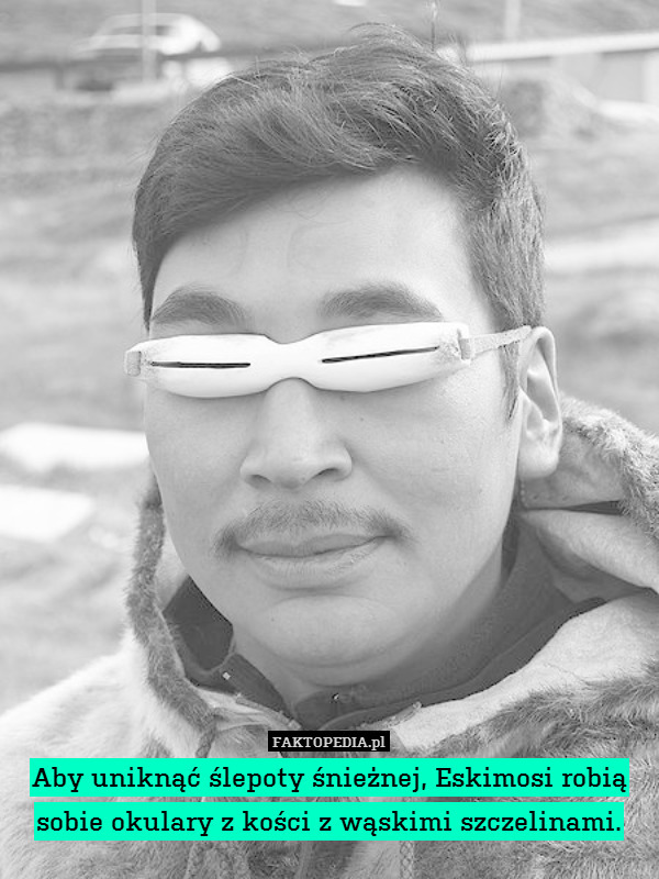 Aby uniknąć ślepoty śnieżnej, Eskimosi robią sobie okulary z kości z wąskimi szczelinami. 