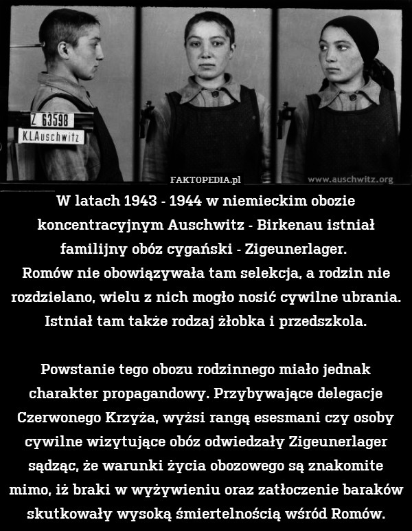 W latach 1943 - 1944 w niemieckim obozie koncentracyjnym Auschwitz - Birkenau istniał familijny obóz cygański - Zigeunerlager. 
Romów nie obowiązywała tam selekcja, a rodzin nie rozdzielano, wielu z nich mogło nosić cywilne ubrania. Istniał tam także rodzaj żłobka i przedszkola.

Powstanie tego obozu rodzinnego miało jednak charakter propagandowy. Przybywające delegacje Czerwonego Krzyża, wyżsi rangą esesmani czy osoby cywilne wizytujące obóz odwiedzały Zigeunerlager sądząc, że warunki życia obozowego są znakomite mimo, iż braki w wyżywieniu oraz zatłoczenie baraków skutkowały wysoką śmiertelnością wśród Romów. 