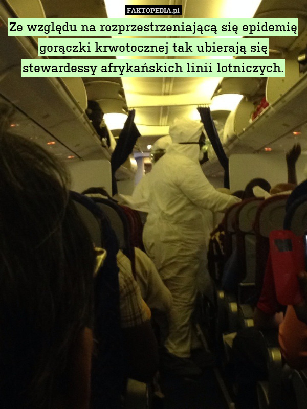 Ze względu na rozprzestrzeniającą się epidemię gorączki krwotocznej tak ubierają się stewardessy afrykańskich linii lotniczych. 