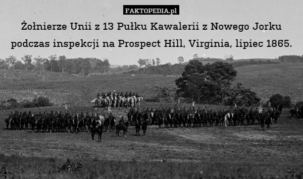 Żołnierze Unii z 13 Pułku Kawalerii z Nowego Jorku podczas inspekcji na Prospect Hill, Virginia, lipiec 1865. 