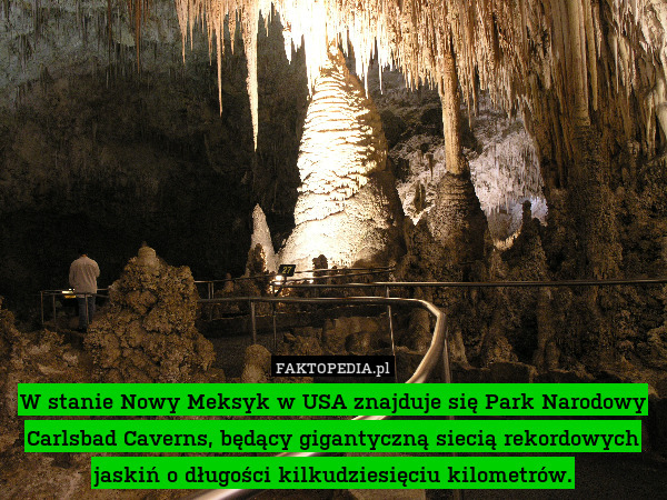 W stanie Nowy Meksyk w USA znajduje się Park Narodowy Carlsbad Caverns, będący gigantyczną siecią rekordowych jaskiń o długości kilkudziesięciu kilometrów. 