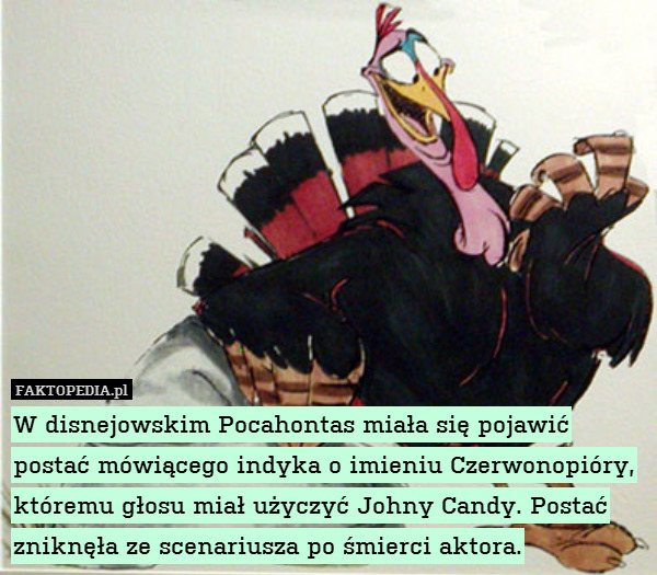W disnejowskim Pocahontas miała się pojawić postać mówiącego indyka o imieniu Czerwonopióry, któremu głosu miał użyczyć Johny Candy. Postać zniknęła ze scenariusza po śmierci aktora. 