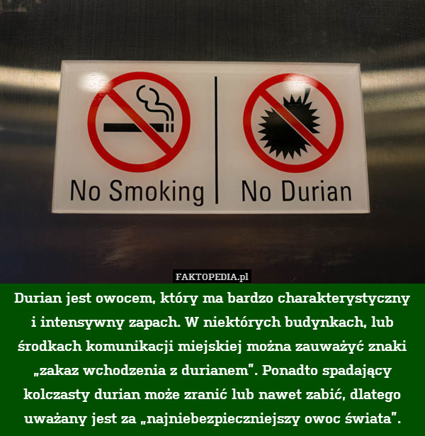 Durian jest owocem, który ma bardzo charakterystyczny
i intensywny zapach. W niektórych budynkach, lub środkach komunikacji miejskiej można zauważyć znaki „zakaz wchodzenia z durianem”. Ponadto spadający kolczasty durian może zranić lub nawet zabić, dlatego uważany jest za „najniebezpieczniejszy owoc świata”. 