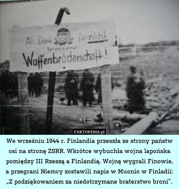 We wrześniu 1944 r. Finlandia przeszła ze strony państw osi na stronę ZSRR. Wkrótce wybuchła wojna lapońska pomiędzy III Rzeszą a Finlandią. Wojnę wygrali Finowie, a przegrani Niemcy zostawili napis w Muonio w Finladii: „Z podziękowaniem za niedotrzymane braterstwo broni”. 