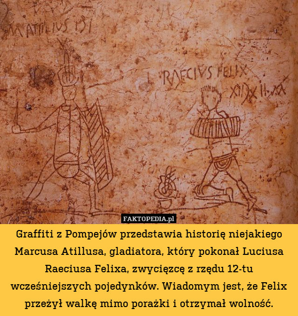 Graffiti z Pompejów przedstawia historię niejakiego Marcusa Atillusa, gladiatora, który pokonał Luciusa Raeciusa Felixa, zwycięzcę z rzędu 12-tu wcześniejszych pojedynków. Wiadomym jest, że Felix przeżył walkę mimo porażki i otrzymał wolność. 