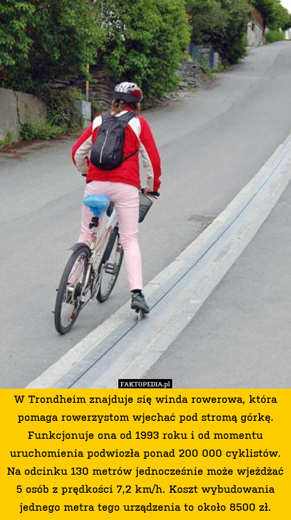 W Trondheim znajduje się winda rowerowa, która pomaga rowerzystom wjechać pod stromą górkę. Funkcjonuje ona od 1993 roku i od momentu uruchomienia podwiozła ponad 200 000 cyklistów. Na odcinku 130 metrów jednocześnie może wjeżdżać 5 osób z prędkości 7,2 km/h. Koszt wybudowania jednego metra tego urządzenia to około 8500 zł. 
