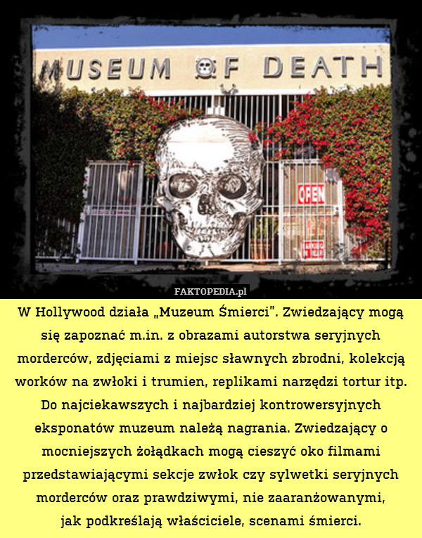 W Hollywood działa „Muzeum Śmierci”. Zwiedzający mogą się zapoznać m.in. z obrazami autorstwa seryjnych morderców, zdjęciami z miejsc sławnych zbrodni, kolekcją worków na zwłoki i trumien, replikami narzędzi tortur itp. Do najciekawszych i najbardziej kontrowersyjnych eksponatów muzeum należą nagrania. Zwiedzający o mocniejszych żołądkach mogą cieszyć oko filmami przedstawiającymi sekcje zwłok czy sylwetki seryjnych morderców oraz prawdziwymi, nie zaaranżowanymi,
jak podkreślają właściciele, scenami śmierci. 