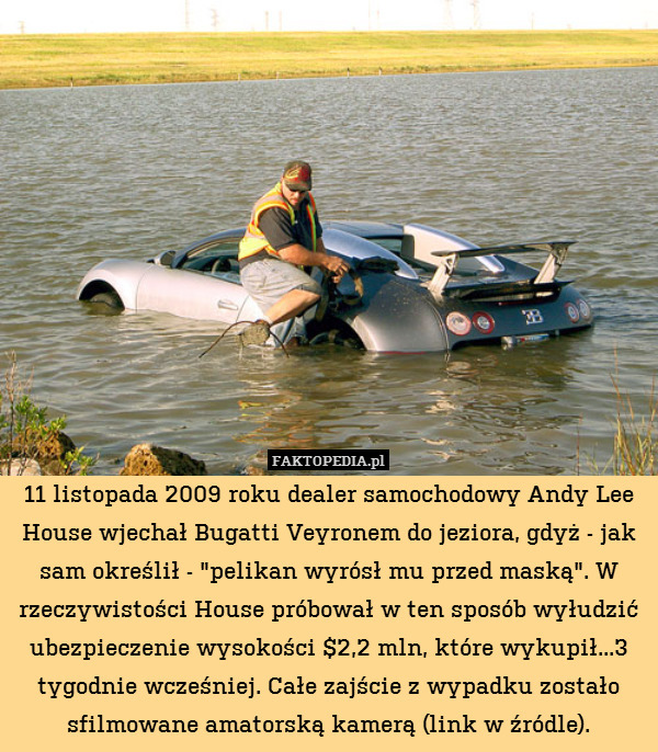 11 listopada 2009 roku dealer samochodowy Andy Lee House wjechał Bugatti Veyronem do jeziora, gdyż - jak sam określił - "pelikan wyrósł mu przed maską". W rzeczywistości House próbował w ten sposób wyłudzić ubezpieczenie wysokości $2,2 mln, które wykupił...3 tygodnie wcześniej. Całe zajście z wypadku zostało sfilmowane amatorską kamerą (link w źródle). 