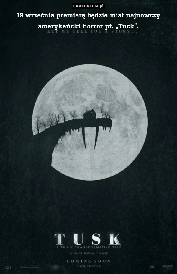 19 września premierę będzie miał najnowszy amerykański horror pt. „Tusk”. 