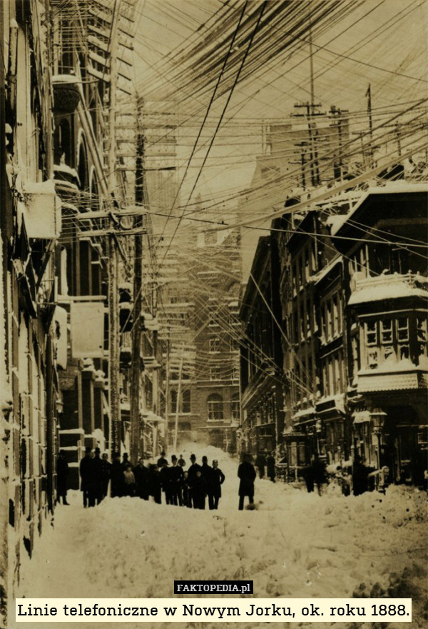 Linie telefoniczne w Nowym Jorku, ok. roku 1888. 