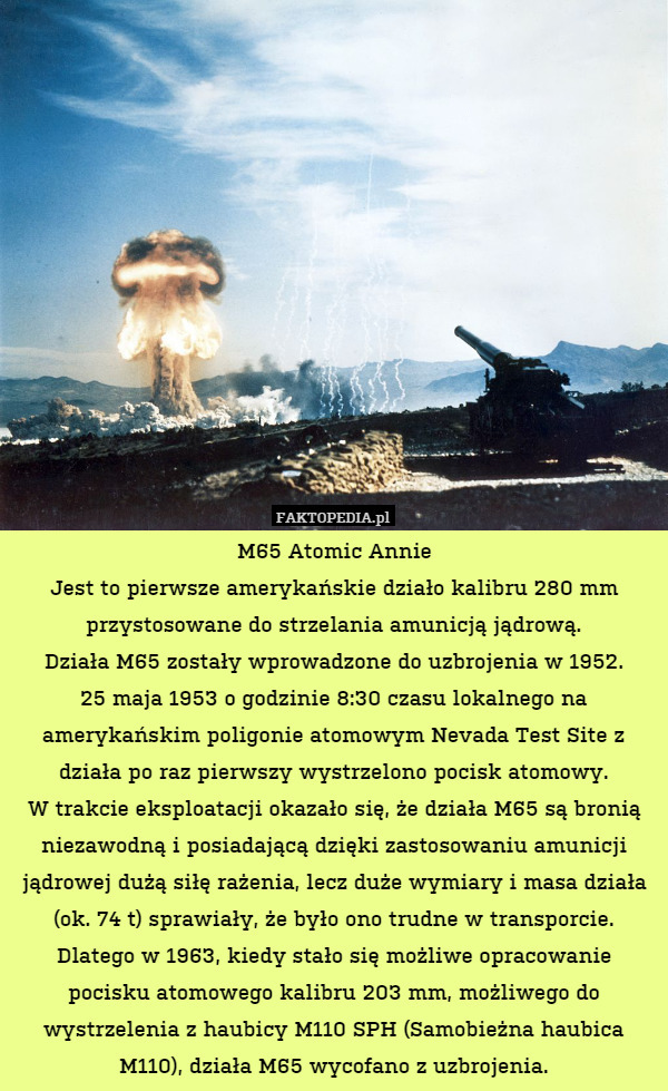 M65 Atomic Annie
Jest to pierwsze amerykańskie działo kalibru 280 mm przystosowane do strzelania amunicją jądrową.
Działa M65 zostały wprowadzone do uzbrojenia w 1952.
25 maja 1953 o godzinie 8:30 czasu lokalnego na amerykańskim poligonie atomowym Nevada Test Site z działa po raz pierwszy wystrzelono pocisk atomowy.
W trakcie eksploatacji okazało się, że działa M65 są bronią niezawodną i posiadającą dzięki zastosowaniu amunicji jądrowej dużą siłę rażenia, lecz duże wymiary i masa działa (ok. 74 t) sprawiały, że było ono trudne w transporcie. Dlatego w 1963, kiedy stało się możliwe opracowanie pocisku atomowego kalibru 203 mm, możliwego do wystrzelenia z haubicy M110 SPH (Samobieżna haubica M110), działa M65 wycofano z uzbrojenia. 