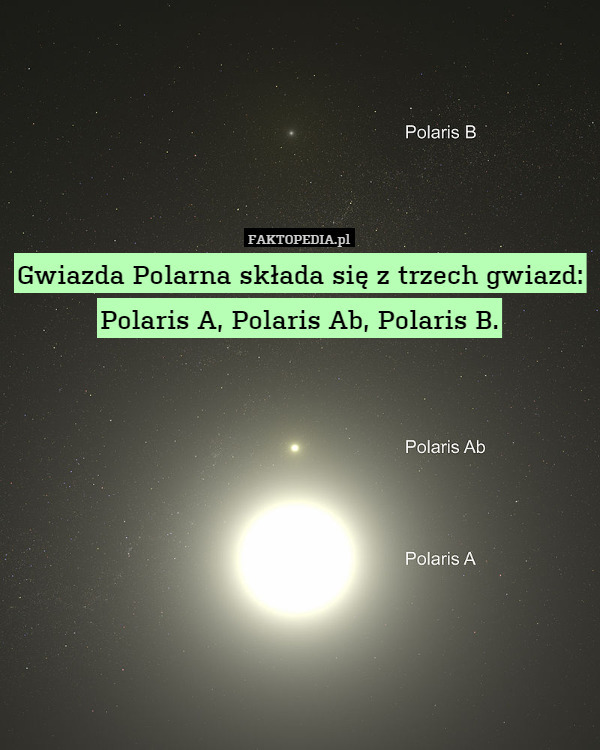 Gwiazda Polarna składa się z trzech gwiazd:
Polaris A, Polaris Ab, Polaris B. 