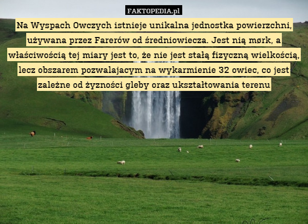 Na Wyspach Owczych istnieje unikalna jednostka powierzchni, używana przez Farerów od średniowiecza. Jest nią mørk, a właściwością tej miary jest to, że nie jest stałą fizyczną wielkością, lecz obszarem pozwalajacym na wykarmienie 32 owiec, co jest zależne od żyzności gleby oraz ukształtowania terenu 