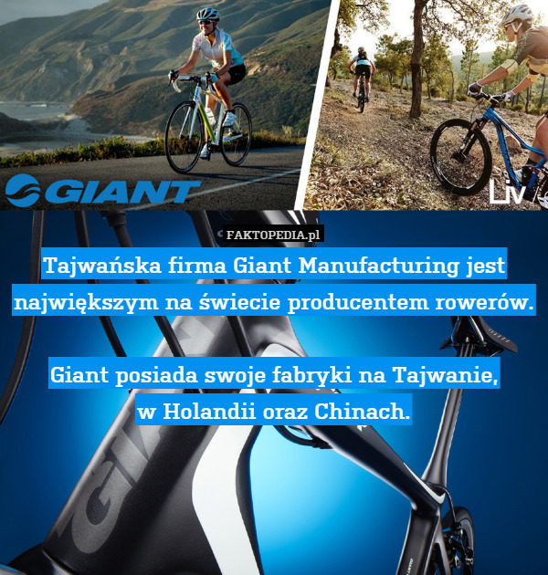Tajwańska firma Giant Manufacturing jest największym na świecie producentem rowerów.

Giant posiada swoje fabryki na Tajwanie,
w Holandii oraz Chinach. 