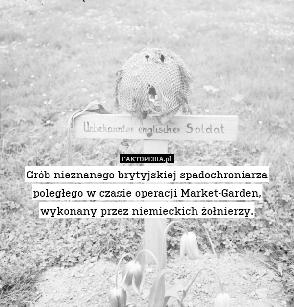 Grób nieznanego brytyjskiej spadochroniarza poległego w czasie operacji Market-Garden, wykonany przez niemieckich żołnierzy. 