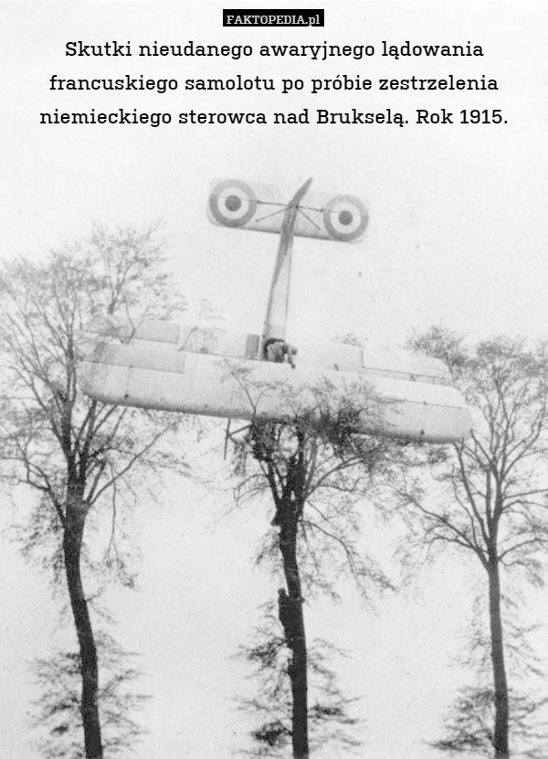 Skutki nieudanego awaryjnego lądowania francuskiego samolotu po próbie zestrzelenia niemieckiego sterowca nad Brukselą. Rok 1915. 
