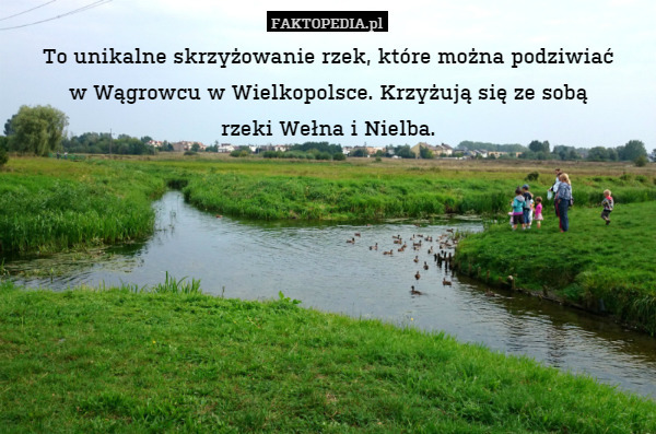 To unikalne skrzyżowanie rzek, które można podziwiać
w Wągrowcu w Wielkopolsce. Krzyżują się ze sobą
rzeki Wełna i Nielba. 