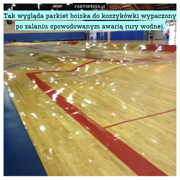 Tak wygląda parkiet boiska do koszykówki wypaczony po zalaniu spowodowanym awarią rury wodnej. 