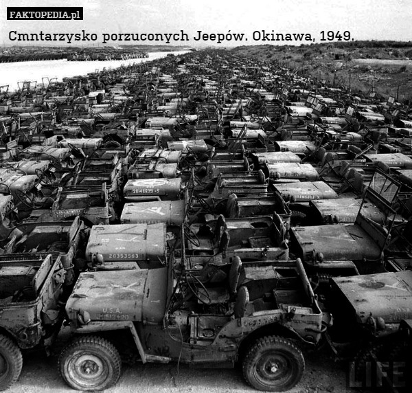 Cmntarzysko porzuconych Jeepów. Okinawa, 1949. 