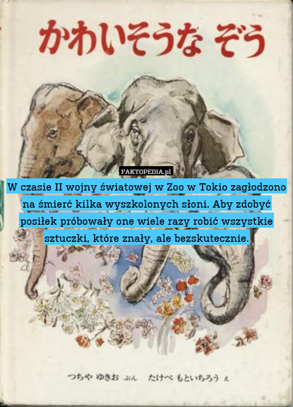 W czasie II wojny światowej w Zoo w Tokio zagłodzono na śmierć kilka wyszkolonych słoni. Aby zdobyć posiłek próbowały one wiele razy robić wszystkie sztuczki, które znały, ale bezskutecznie. 