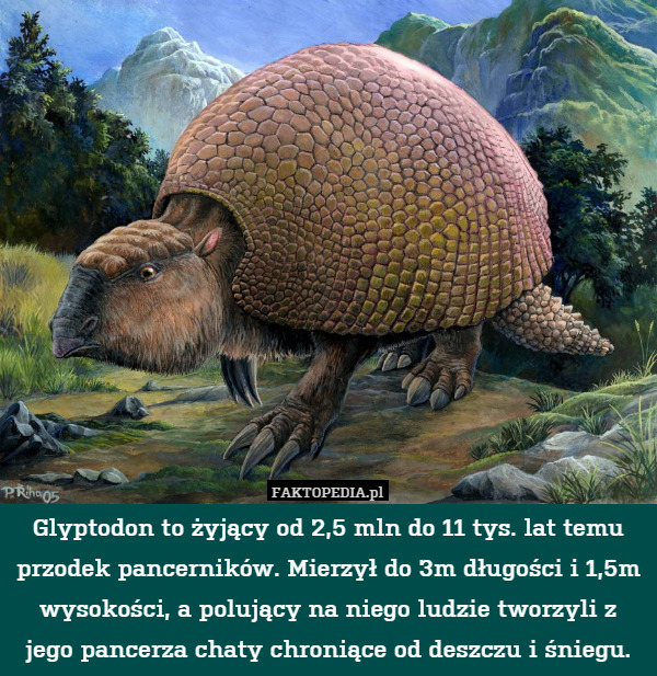 Glyptodon to żyjący od 2,5 mln do 11 tys. lat temu przodek pancerników. Mierzył do 3m długości i 1,5m wysokości, a polujący na niego ludzie tworzyli z jego pancerza chaty chroniące od deszczu i śniegu. 
