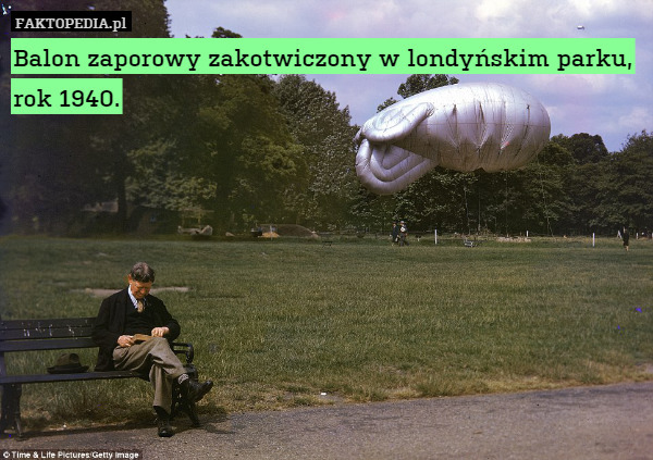 Balon zaporowy zakotwiczony w londyńskim parku, rok 1940. 