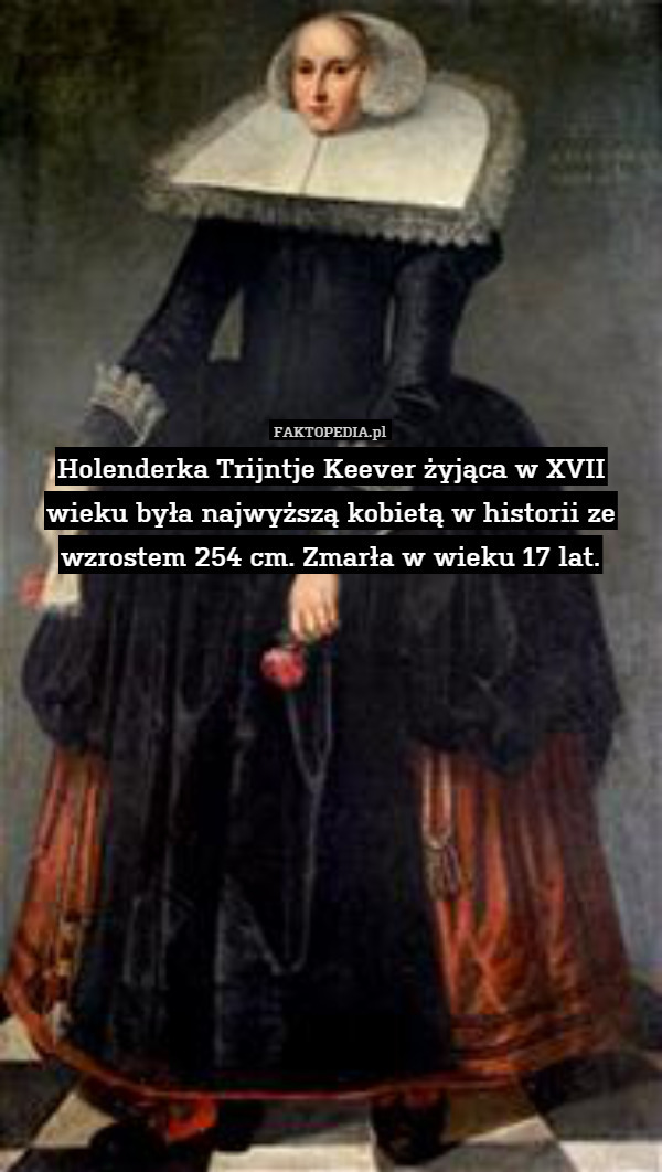 Holenderka Trijntje Keever żyjąca w XVII wieku była najwyższą kobietą w historii ze wzrostem 254 cm. Zmarła w wieku 17 lat. 