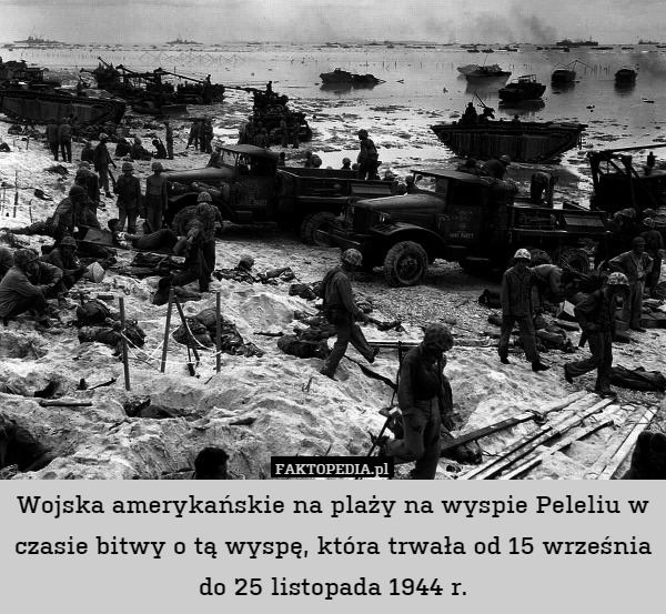 Wojska amerykańskie na plaży na wyspie Peleliu w czasie bitwy o tą wyspę, która trwała od 15 września do 25 listopada 1944 r. 
