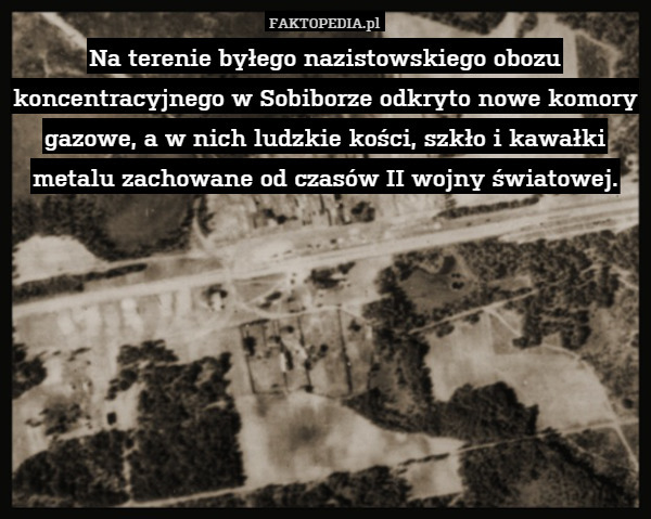 Na terenie byłego nazistowskiego obozu koncentracyjnego w Sobiborze odkryto nowe komory gazowe, a w nich ludzkie kości, szkło i kawałki metalu zachowane od czasów II wojny światowej. 