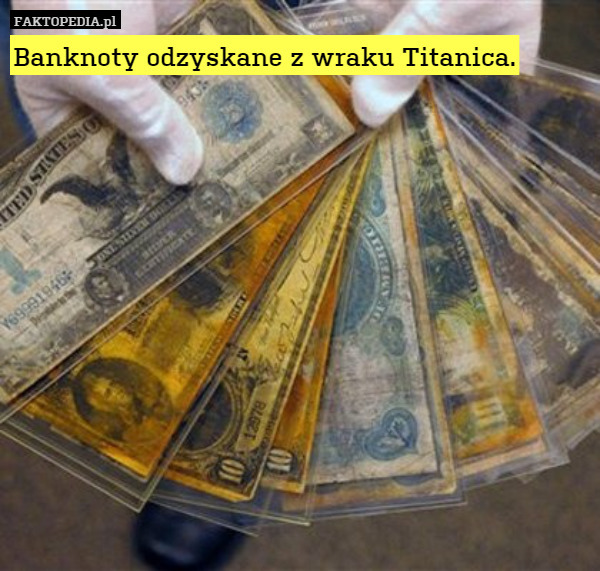 Banknoty odzyskane z wraku Titanica. 