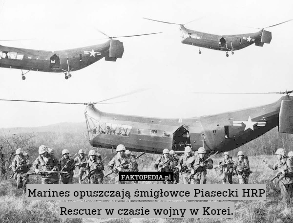 Marines opuszczają śmigłowce Piasecki HRP Rescuer w czasie wojny w Korei. 