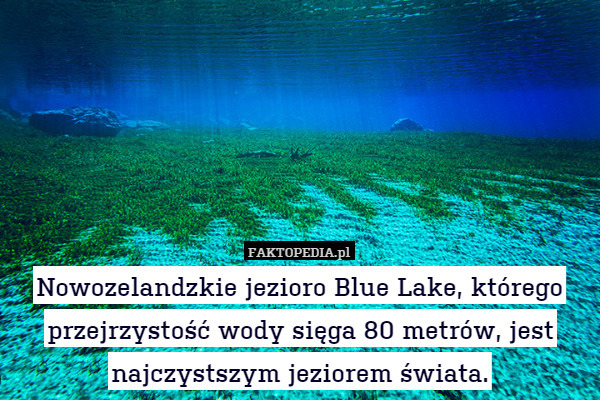 Nowozelandzkie jezioro Blue Lake, którego przejrzystość wody sięga 80 metrów, jest najczystszym jeziorem świata. 