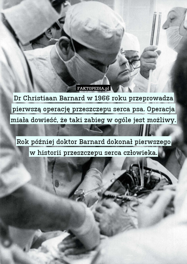 Dr Christiaan Barnard w 1966 roku przeprowadza pierwszą operację przeszczepu serca psa. Operacja miała dowieść, że taki zabieg w ogóle jest możliwy.

Rok później doktor Barnard dokonał pierwszego
w historii przeszczepu serca człowieka. 