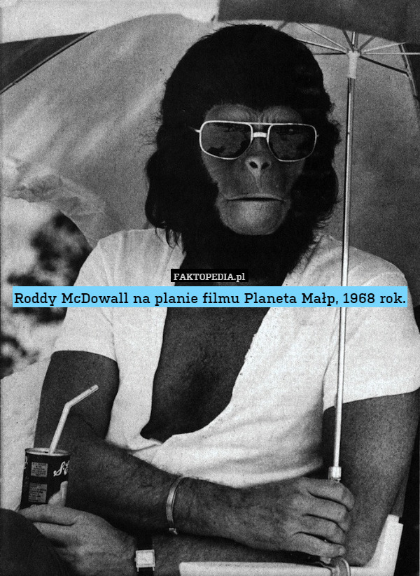 Roddy McDowall na planie filmu Planeta Małp, 1968 rok. 