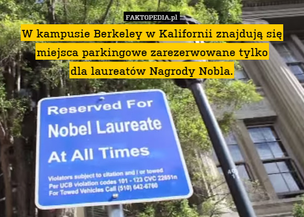 W kampusie Berkeley w Kalifornii znajdują się miejsca parkingowe zarezerwowane tylko
 dla laureatów Nagrody Nobla. 