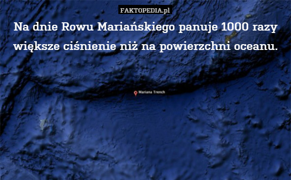 Na dnie Rowu Mariańskiego panuje 1000 razy większe ciśnienie niż na powierzchni oceanu. 