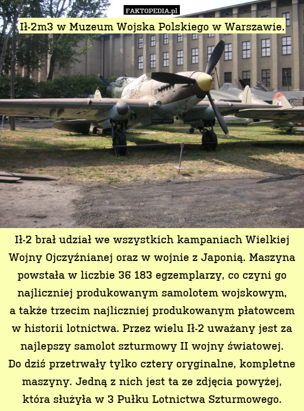 Ił-2m3 w Muzeum Wojska Polskiego w Warszawie.











Ił-2 brał udział we wszystkich kampaniach Wielkiej Wojny Ojczyźnianej oraz w wojnie z Japonią. Maszyna powstała w liczbie 36 183 egzemplarzy, co czyni go najliczniej produkowanym samolotem wojskowym,
a także trzecim najliczniej produkowanym płatowcem w historii lotnictwa. Przez wielu Ił-2 uważany jest za najlepszy samolot szturmowy II wojny światowej.
Do dziś przetrwały tylko cztery oryginalne, kompletne maszyny. Jedną z nich jest ta ze zdjęcia powyżej,
która służyła w 3 Pułku Lotnictwa Szturmowego. 