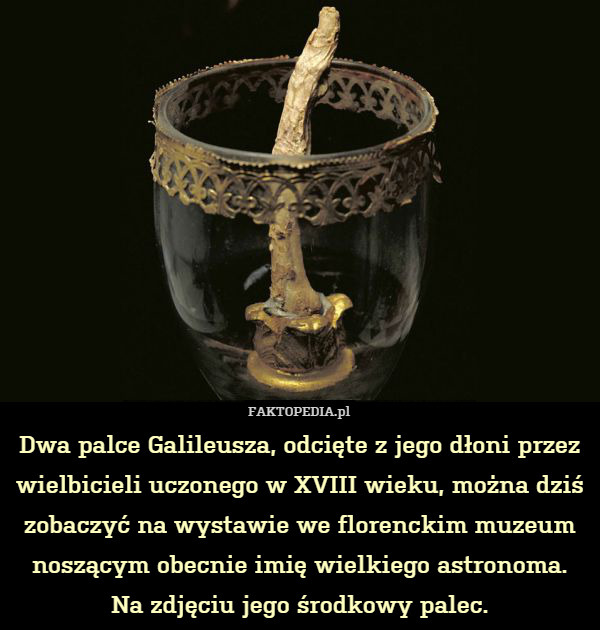 Dwa palce Galileusza, odcięte z jego dłoni przez wielbicieli uczonego w XVIII wieku, można dziś zobaczyć na wystawie we florenckim muzeum noszącym obecnie imię wielkiego astronoma.
Na zdjęciu jego środkowy palec. 
