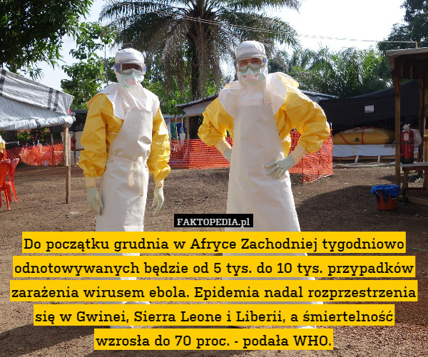 Do początku grudnia w Afryce Zachodniej tygodniowo odnotowywanych będzie od 5 tys. do 10 tys. przypadków zarażenia wirusem ebola. Epidemia nadal rozprzestrzenia się w Gwinei, Sierra Leone i Liberii, a śmiertelność wzrosła do 70 proc. - podała WHO. 
