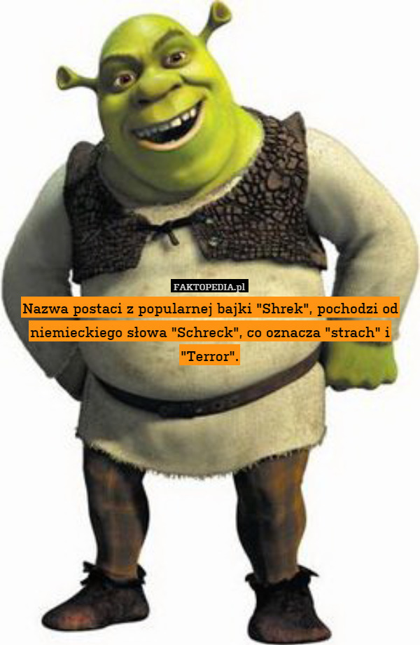 Nazwa postaci z popularnej bajki "Shrek", pochodzi od niemieckiego słowa "Schreck", co oznacza "strach" i "Terror". 