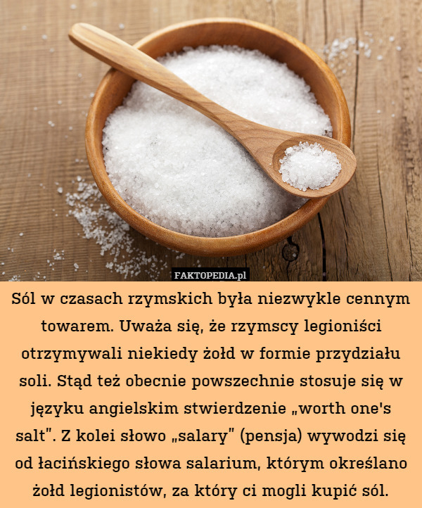 Sól w czasach rzymskich była niezwykle cennym towarem. Uważa się, że rzymscy legioniści otrzymywali niekiedy żołd w formie przydziału soli. Stąd też obecnie powszechnie stosuje się w języku angielskim stwierdzenie „worth one&apos;s salt”. Z kolei słowo „salary” (pensja) wywodzi się od łacińskiego słowa salarium, którym określano żołd legionistów, za który ci mogli kupić sól. 