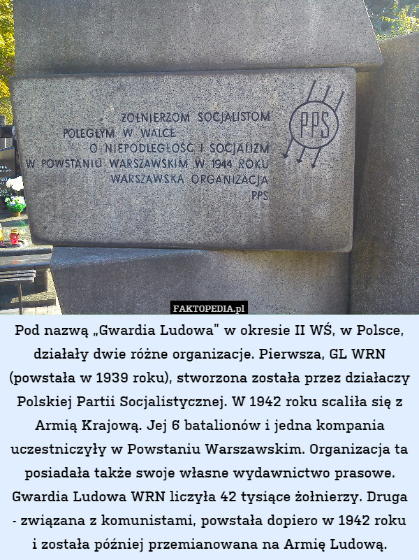 Pod nazwą „Gwardia Ludowa” w okresie II WŚ, w Polsce, działały dwie różne organizacje. Pierwsza, GL WRN (powstała w 1939 roku), stworzona została przez działaczy Polskiej Partii Socjalistycznej. W 1942 roku scaliła się z Armią Krajową. Jej 6 batalionów i jedna kompania uczestniczyły w Powstaniu Warszawskim. Organizacja ta posiadała także swoje własne wydawnictwo prasowe. Gwardia Ludowa WRN liczyła 42 tysiące żołnierzy. Druga - związana z komunistami, powstała dopiero w 1942 roku i została później przemianowana na Armię Ludową. 