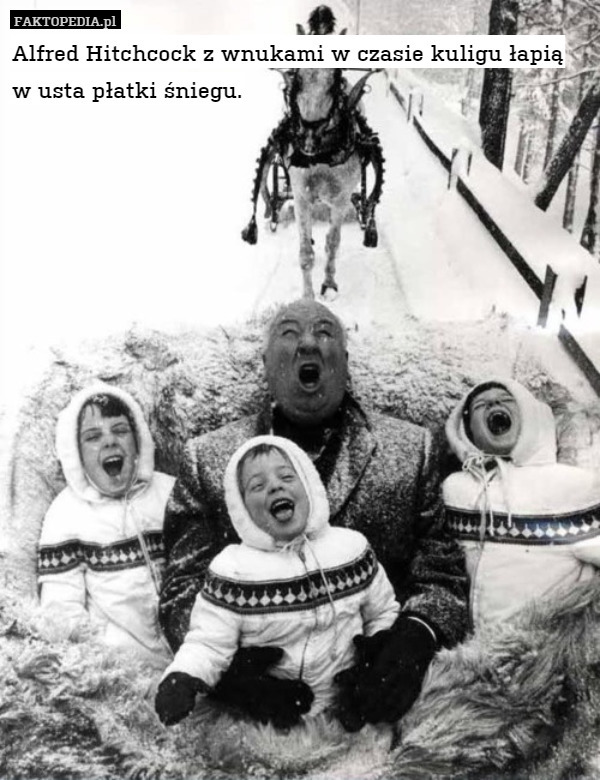 Alfred Hitchcock z wnukami w czasie kuligu łapią w usta płatki śniegu. 